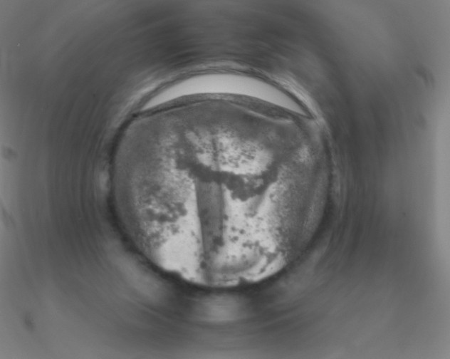 X0000090620063200708071233