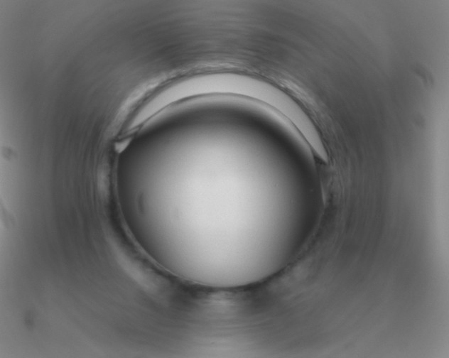 X0000090620064200708071233