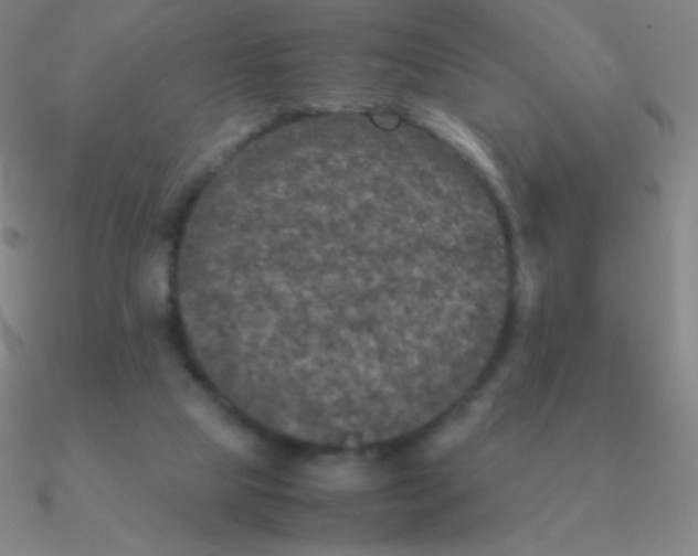 X0000090620065200708071233