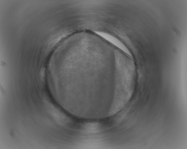 X0000090620066200708071233