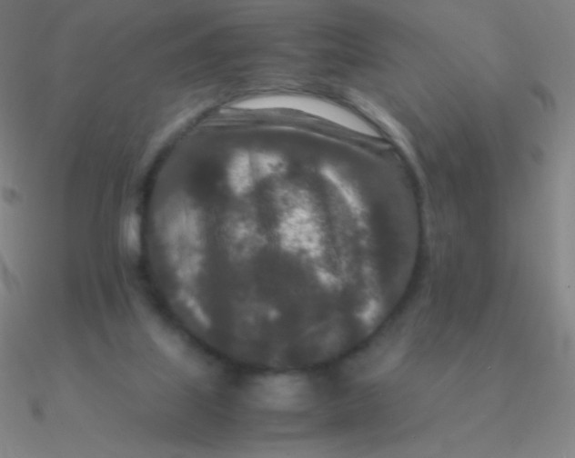 X0000090620067200708071233