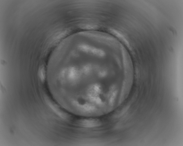 X0000090620069200708071234