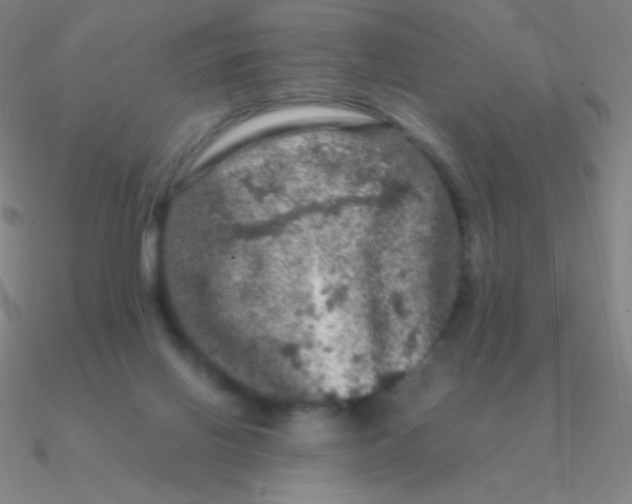 X0000090620070200708071234