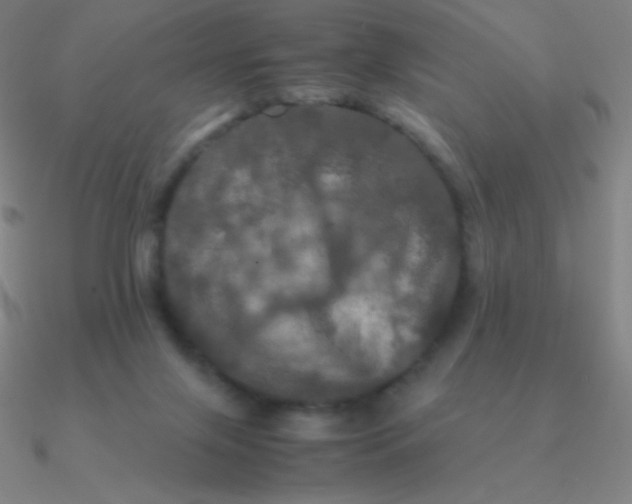 X0000090620071200708071234