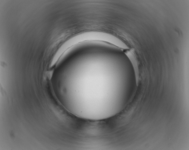 X0000090620072200708071234