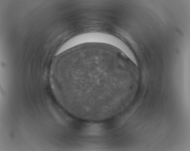 X0000090620073200708071234