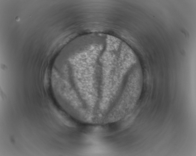 X0000090620074200708071234