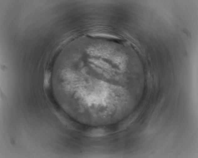 X0000090620075200708071234