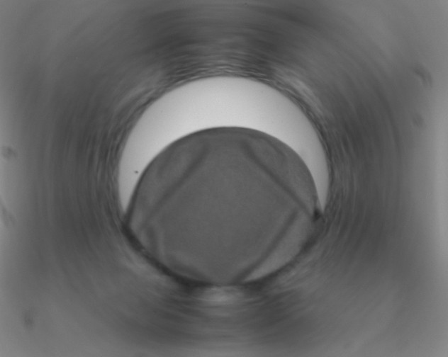 X0000090620077200708071234