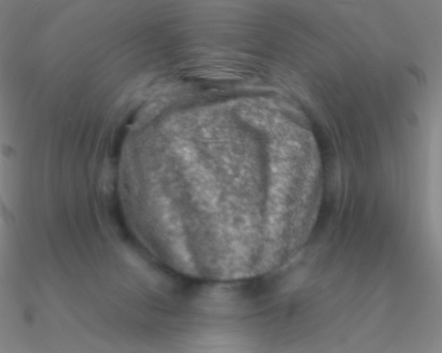 X0000090620078200708071234