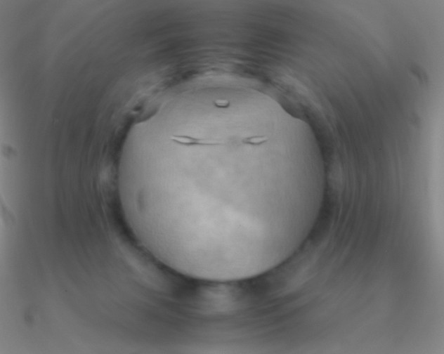 X0000090620079200708071234