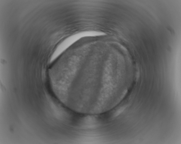 X0000090620080200708071234