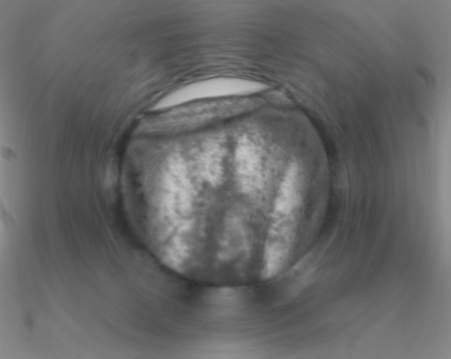 X0000090620082200708071234