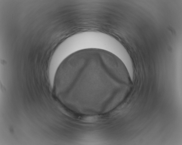 X0000090620084200708071234