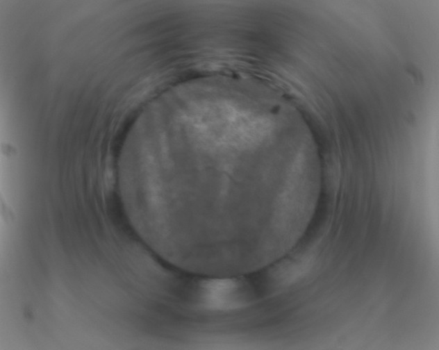 X0000090620085200708071234