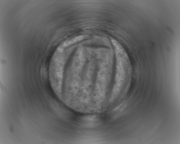 X0000090620086200708071234