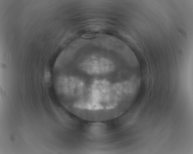 X0000090620087200708071234