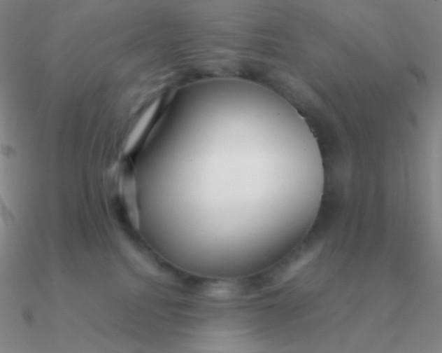 X0000090620088200708071234