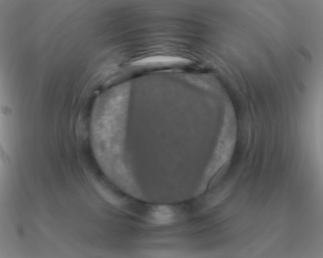 X0000090620091200708071234