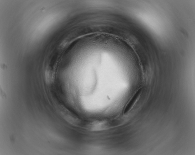 X0000090620093200708071234