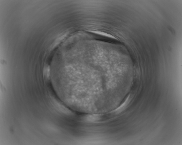 X0000090620094200708071234