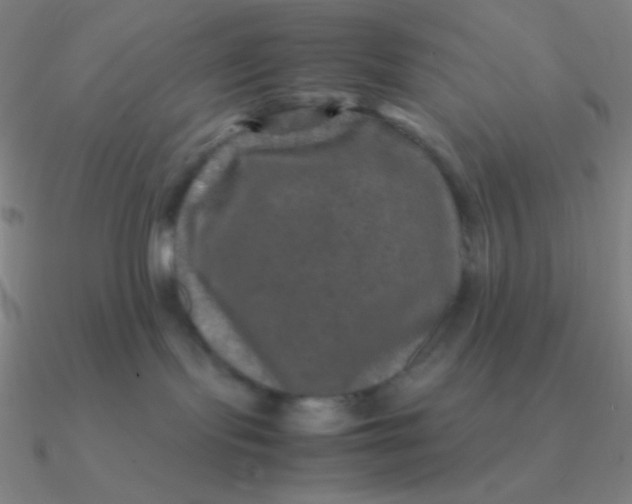 X0000090620095200708071234