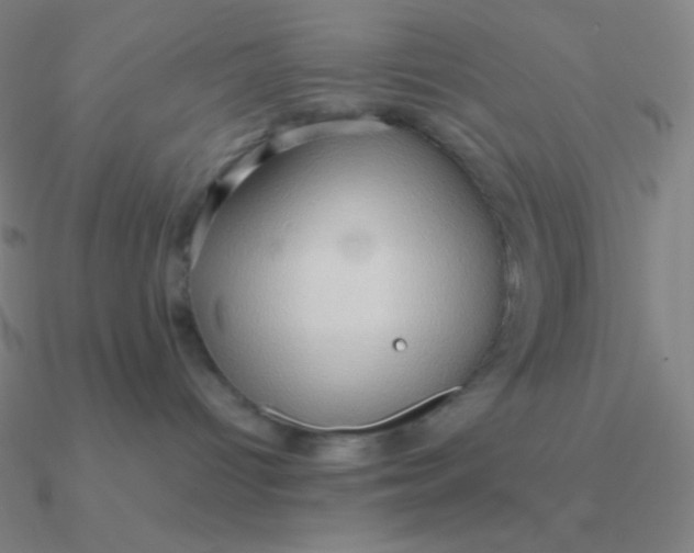 X0000090620096200708071234