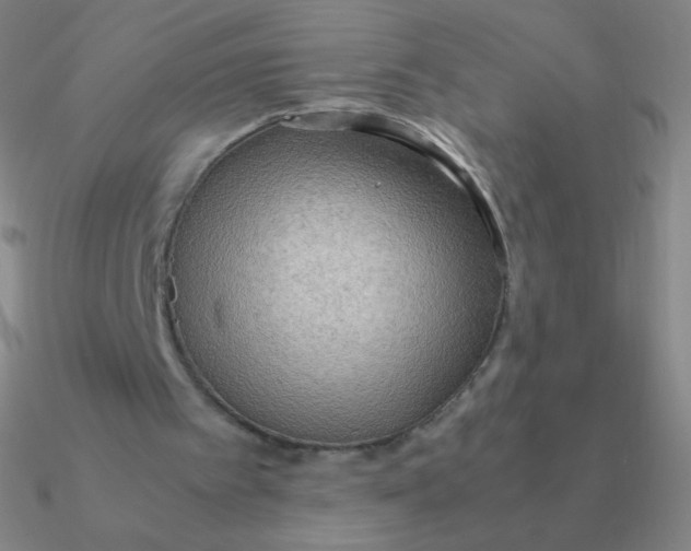 X0000090620097200708071233