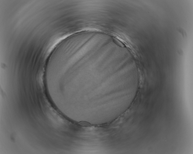 X0000090620098200708071233