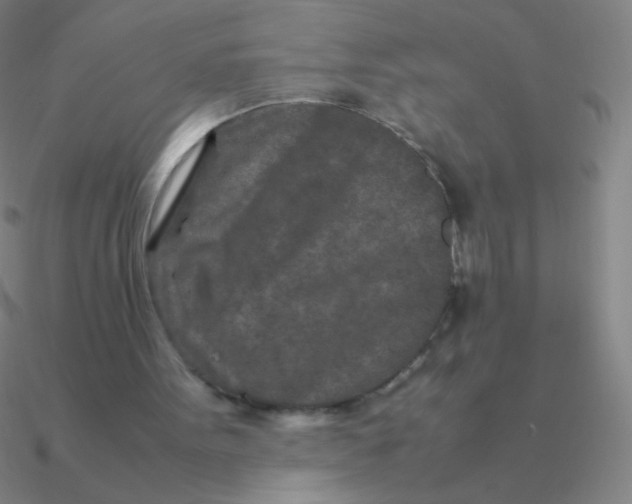 X0000090620099200708071233