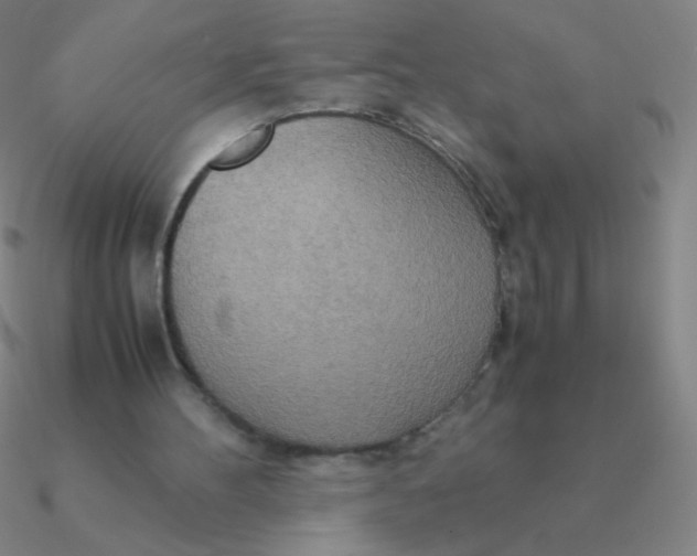 X0000090620100200708071233