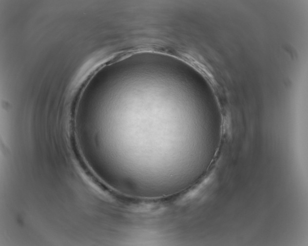 X0000090620101200708071233