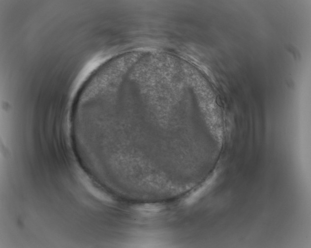 X0000090620102200708071233