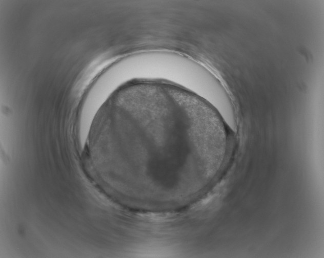 X0000090620103200708071233