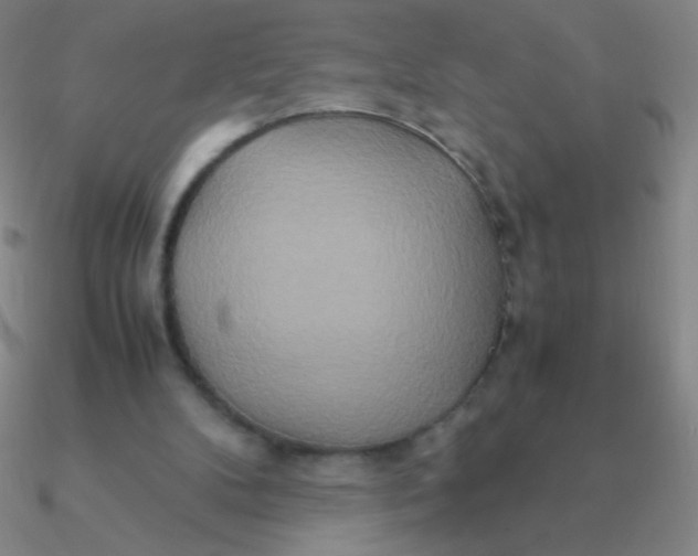 X0000090620104200708071233