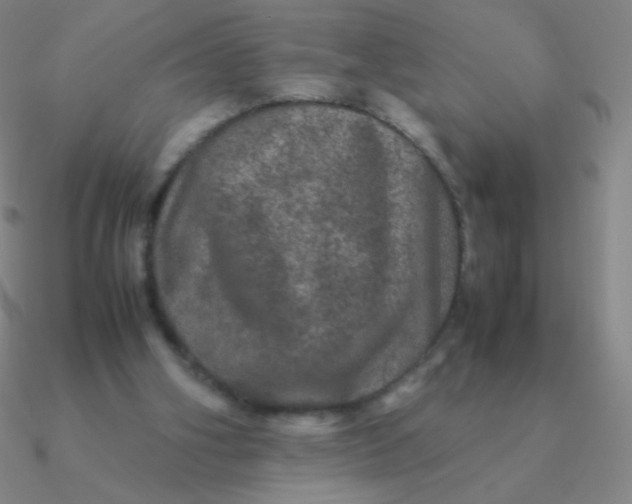 X0000090620106200708071233