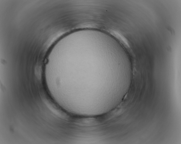 X0000090620108200708071233