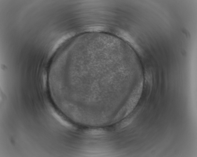 X0000090620110200708071233