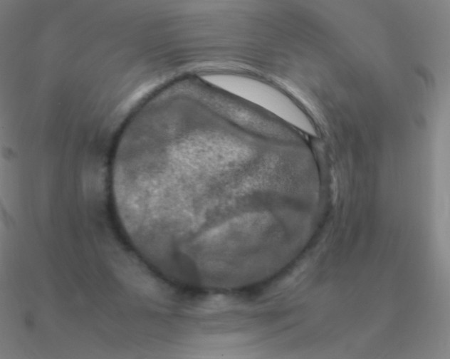 X0000090620111200708071233