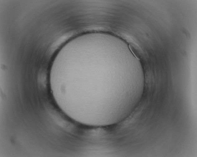 X0000090620112200708071233