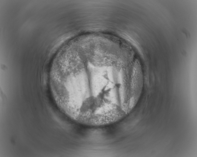 X0000090620115200708071233