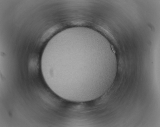 X0000090620116200708071233