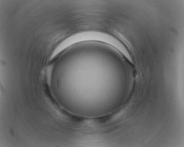 X0000090620117200708071233