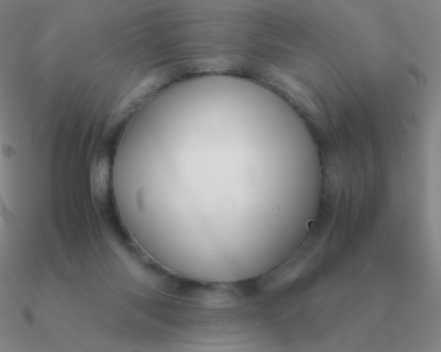 X0000090620118200708071233