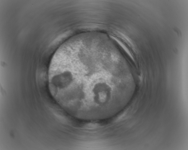 X0000090620119200708071233