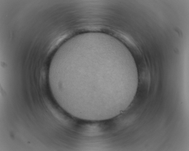 X0000090620120200708071233