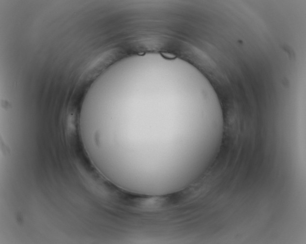 X0000090620122200708071233