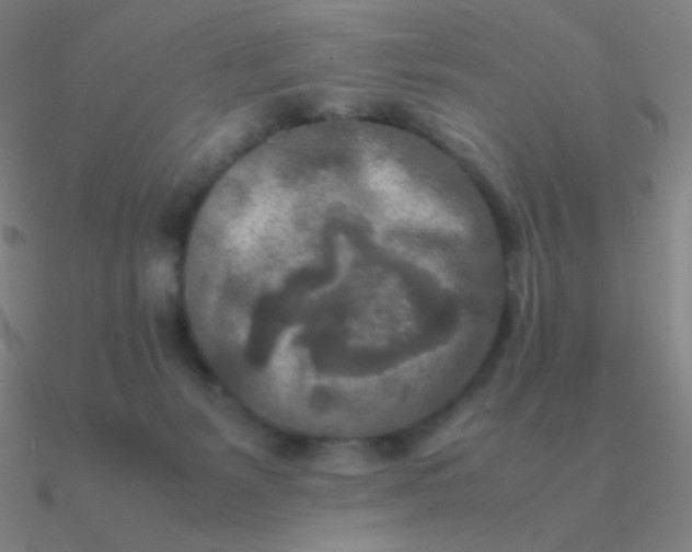 X0000090620127200708071233