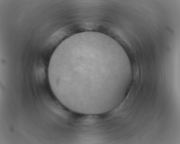 X0000090620128200708071233