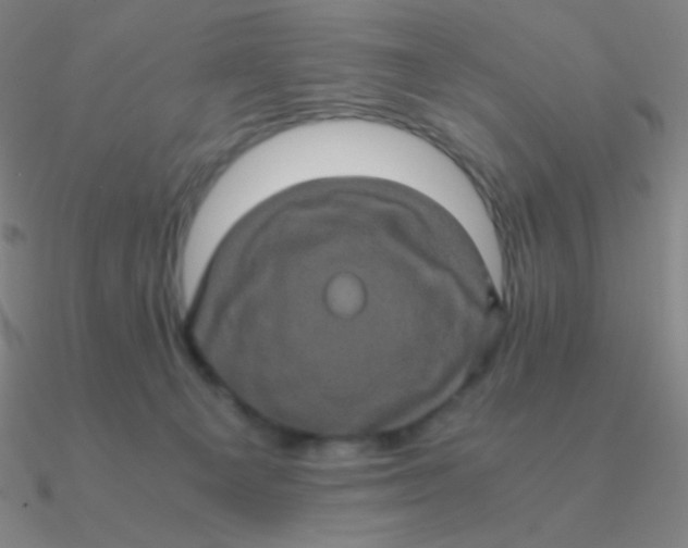 X0000090620129200708071233